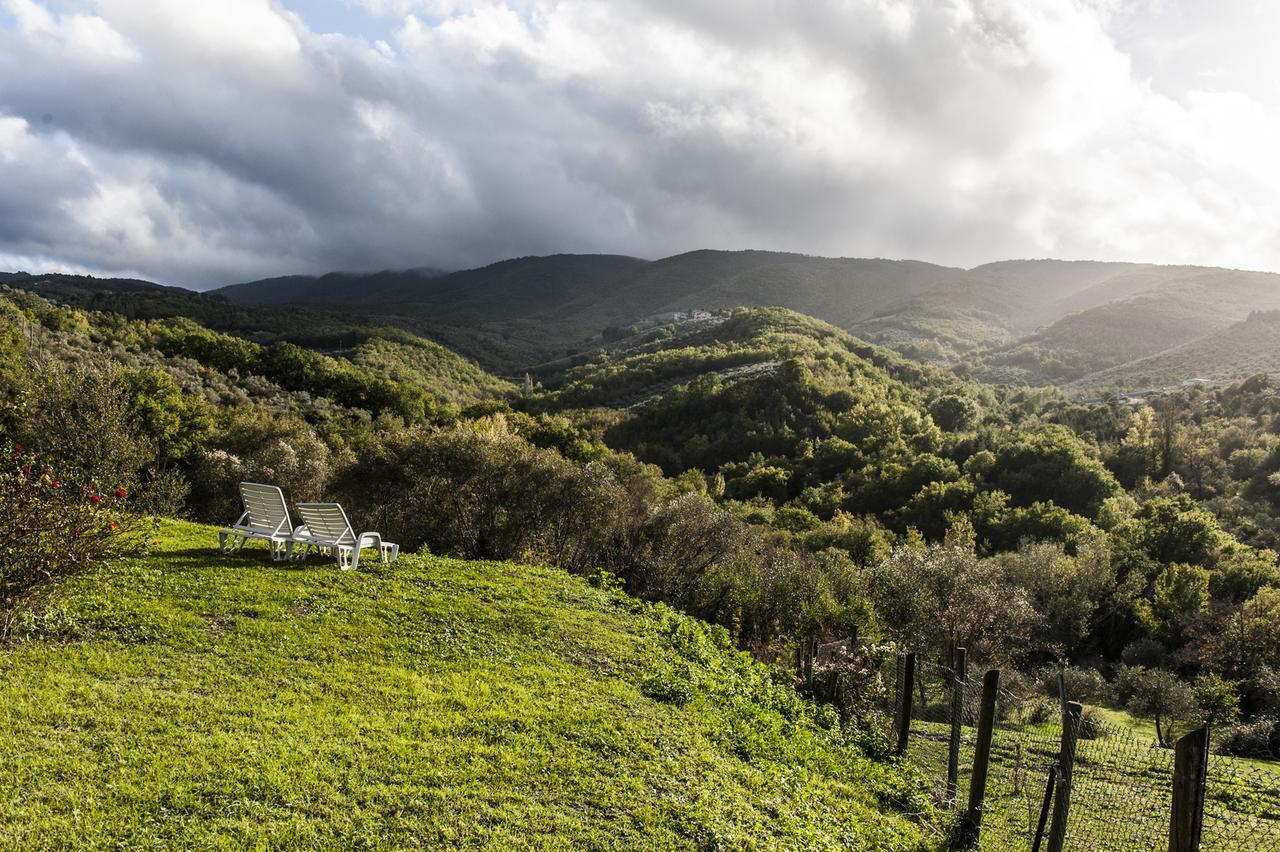 Tenuta San Felice Giano dell'Umbria Экстерьер фото